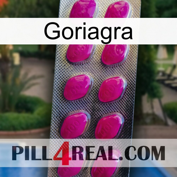 Goriagra 09.jpg